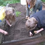 Kunst - Kultur - Kartoffel