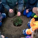 Projekt Bäumepflanzen