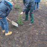 Projekt Bäumepflanzen