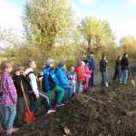 Bäume pflanzen in Groß Schönebeck