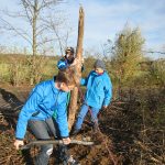 Bäume pflanzen in Groß Schönebeck