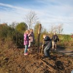 Bäume pflanzen in Groß Schönebeck