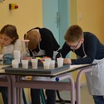 Experimente helfen die Welt zu verstehen