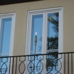 Olympischer Tag 2014