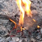 Mobiles im WAT- und Kunstunterricht