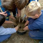 Kooperationsprojekt mit dem landwirtschtlichen Betrieb SAG
