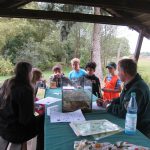 Waldjugendspiele 2019