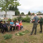 Waldjugendspiele 2019