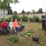 Waldjugendspiele 2019