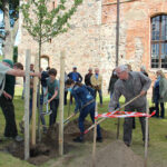 Pflanzung Luther-Apfelbaum