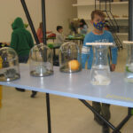 Besuch Museumsinsel Berlin