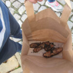 Besuch im Barnim-Panorama